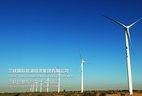 坚持本地化经营，打造戈壁绿色能源项目 ——巴基斯坦第一风力发电项目